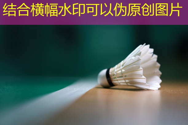 室内滑步健身