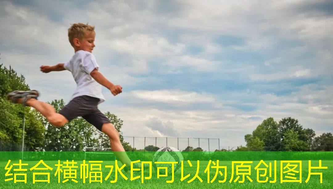 舒华器材怎么样