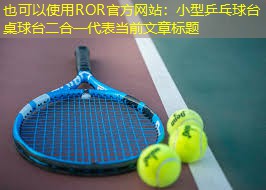 小型乒乓球台桌球台二合一