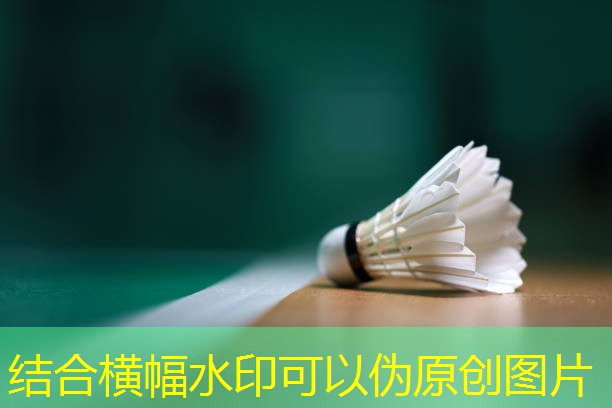 室内健身器材百科