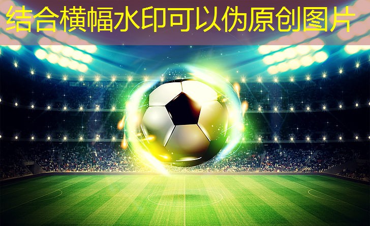 塑胶跑道材料在室内场地中的适用性分析
