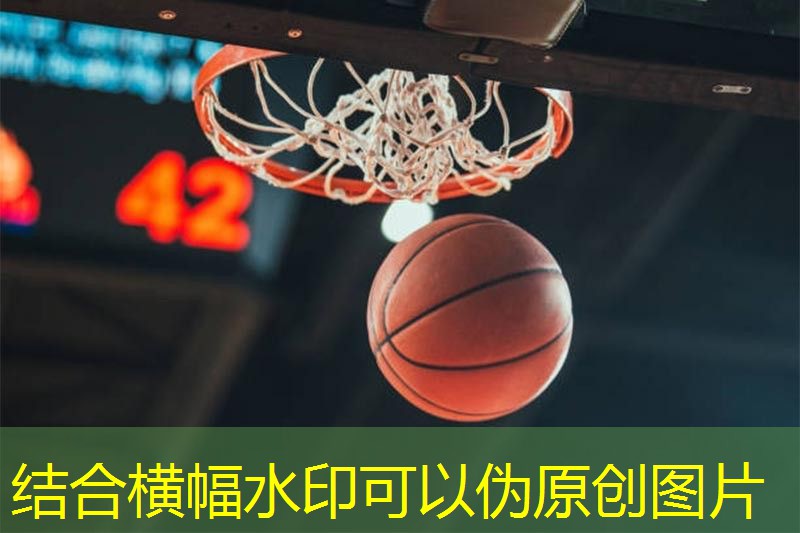 小学生篮球训练专用器材