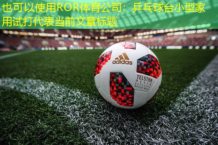 乒乓球台小型家用试打